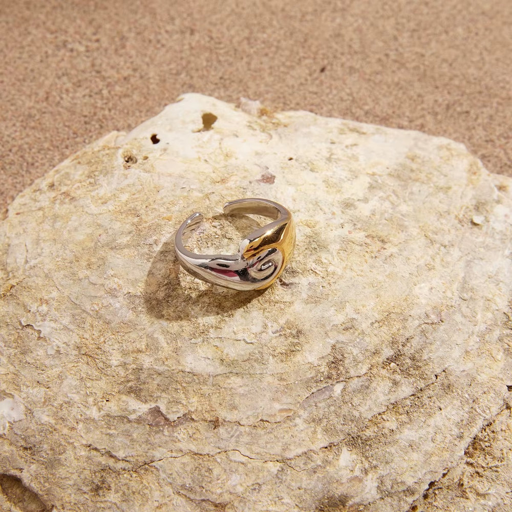 Mixed Shine Ring – ring